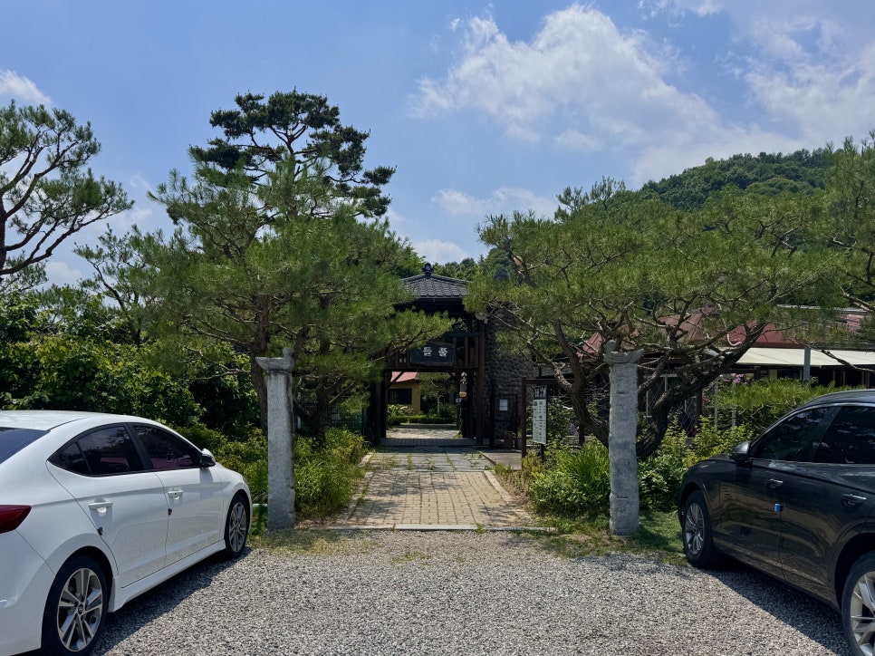 들풀 사진 2
