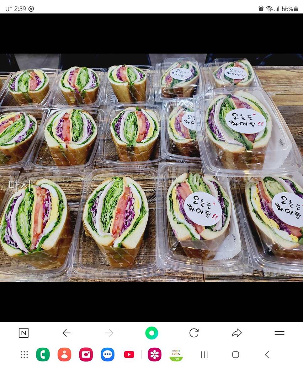 마시 사진 1