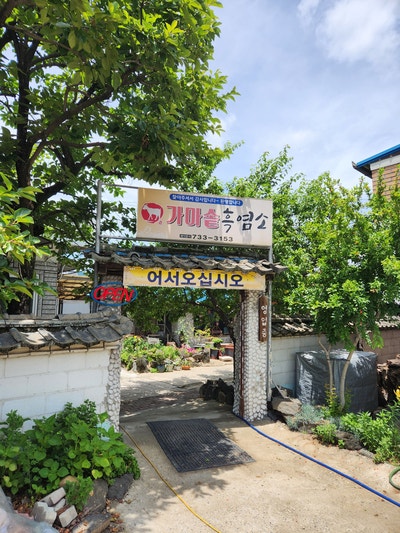 옥천염소맛집 사진 2