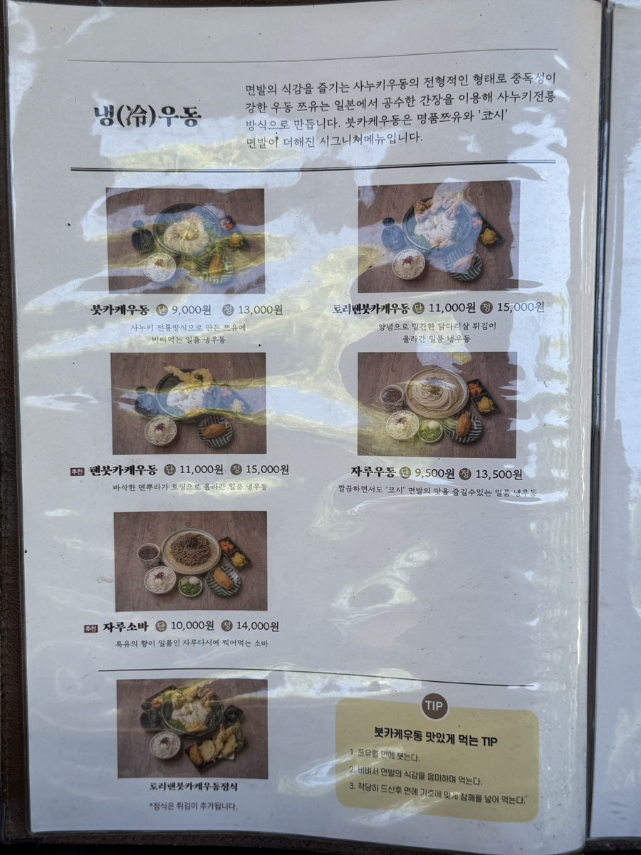 코시 사진 3