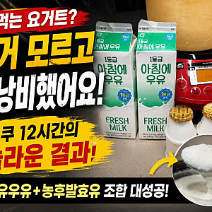 오쿠 요거트 만들기 실패 없이 성공! 원유우유와 농후발효유로 12시간 홈메이드 요거트 완성