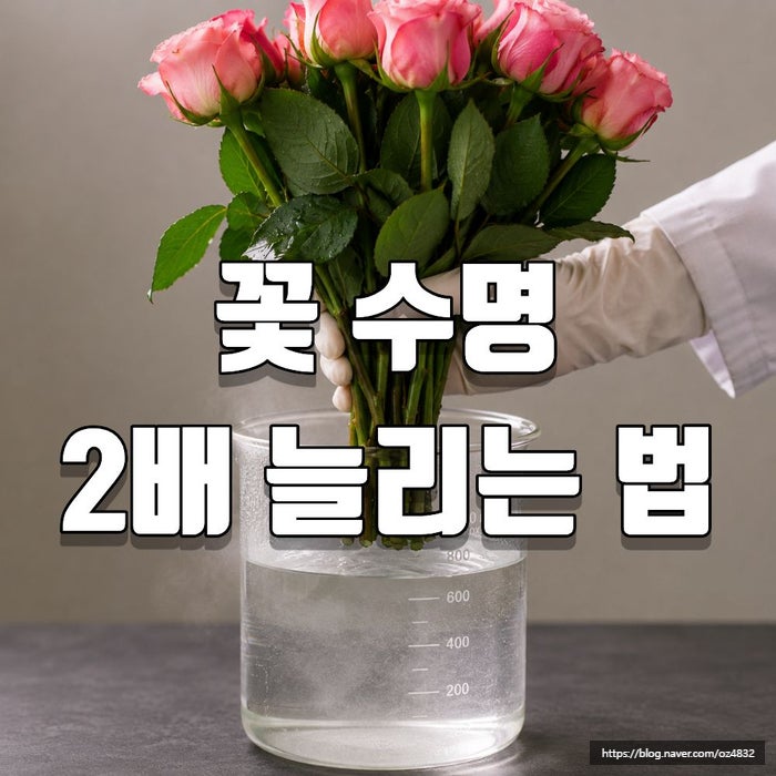 절화 열탕처리 방법과 꽃 수명 2배 늘리는 물속 자르기 팁