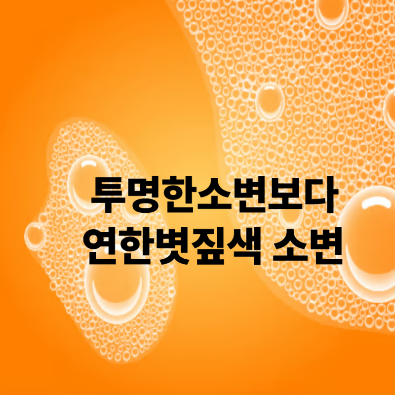 "소변색은 투명할수록 좋다? NO! 의사가 말하는 '건강한 소변'의 진짜 조건"