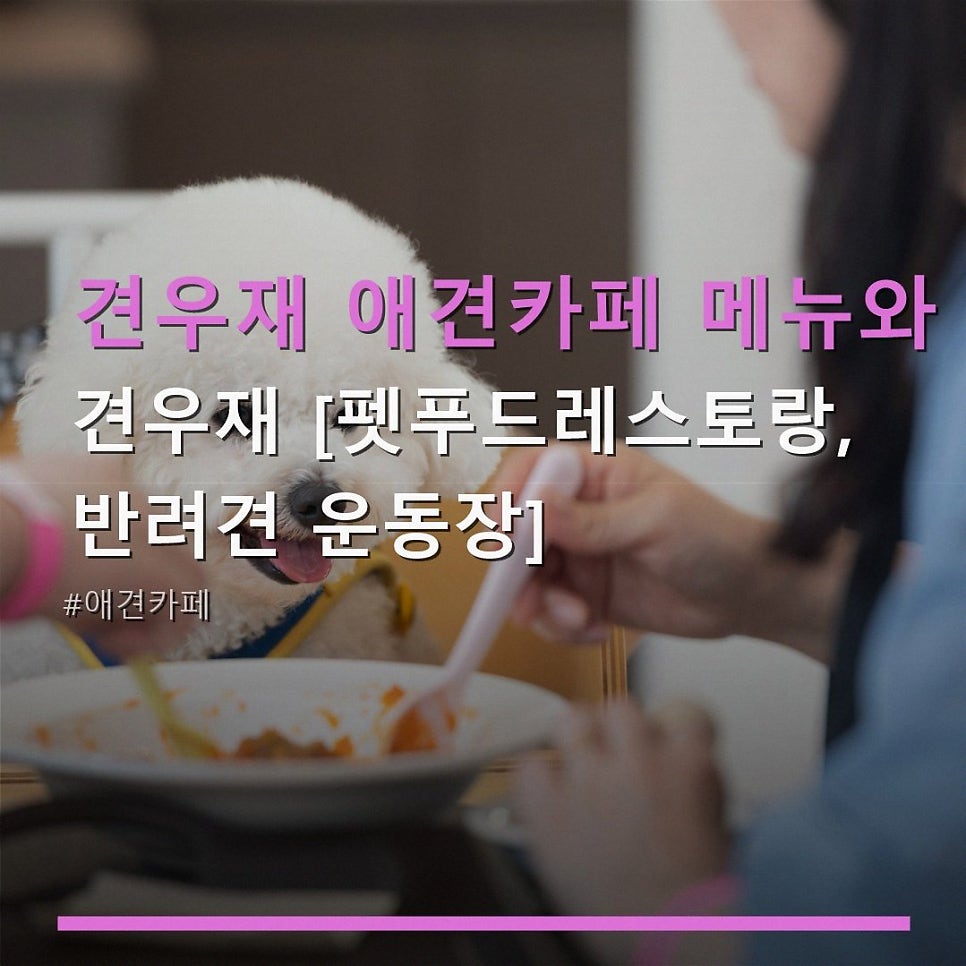 견우재 사진 1