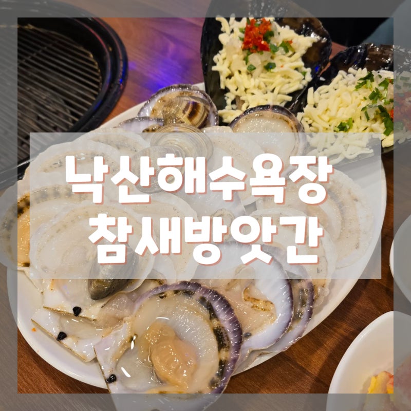 [양양 참새방앗간] 양양 낙산해수욕장 맛집 조개구이 괜찮은 곳