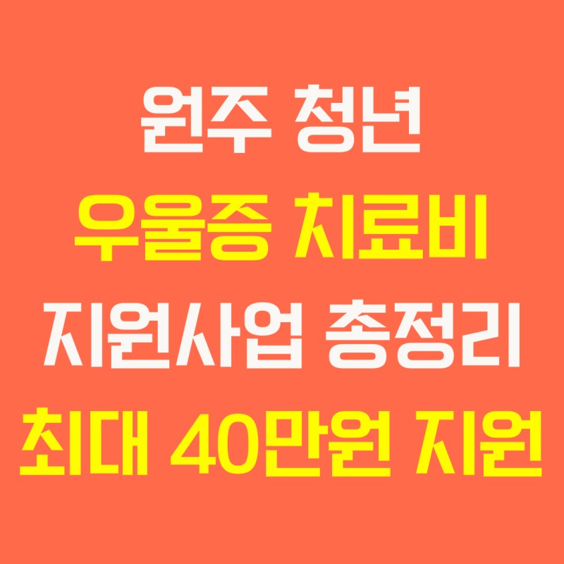 원주 청년 우울증 치료비 지원사업 총정리, 최대 40만원 치료비 지원