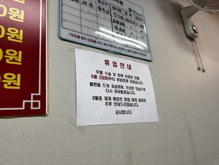 오향만두 사진 4