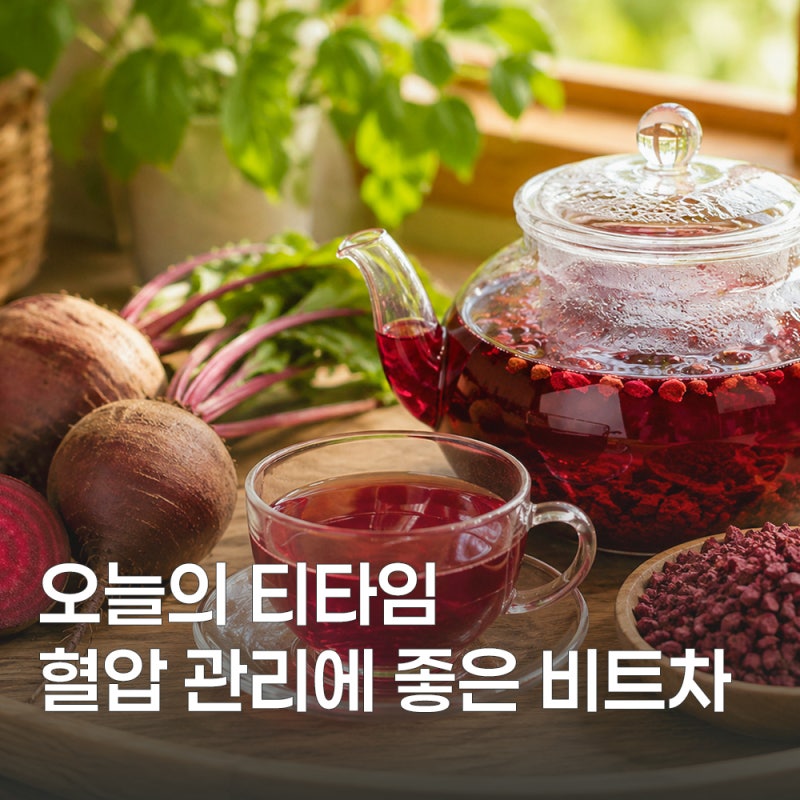 비트차 효능 6가지와 끓이는 법 정리