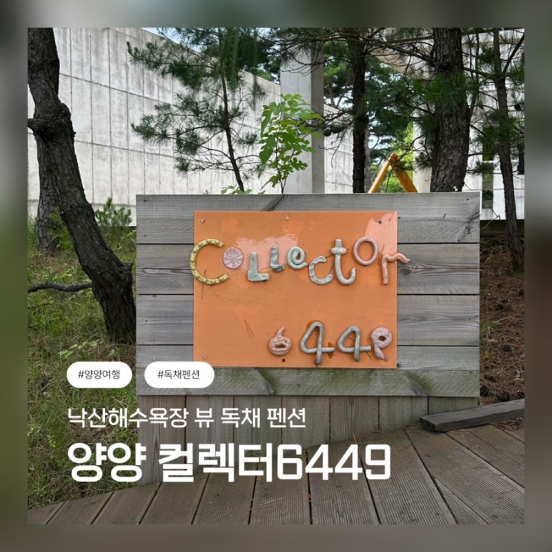 양양 독채펜션 추천 / 낙산해수욕장 펜션 / 컬렉터6449 스테이