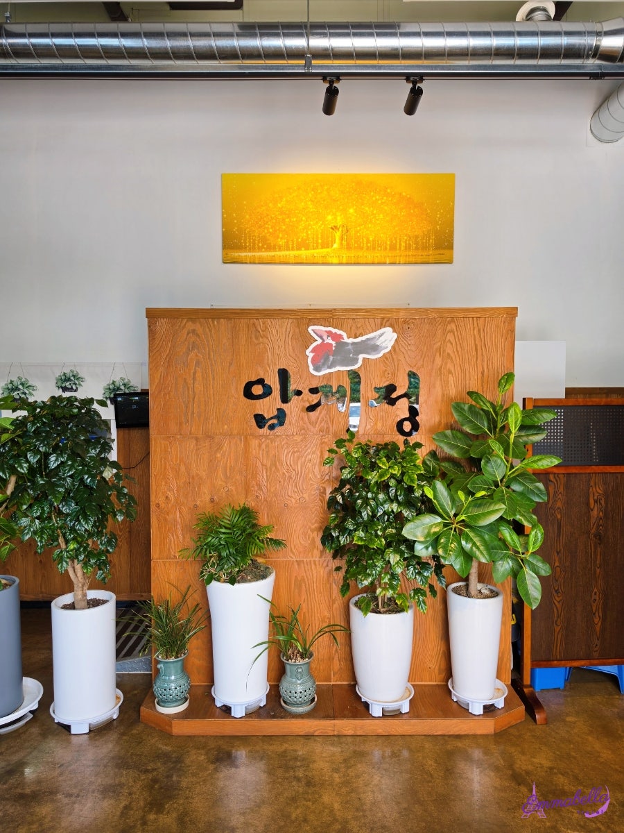 압계정 사진 4