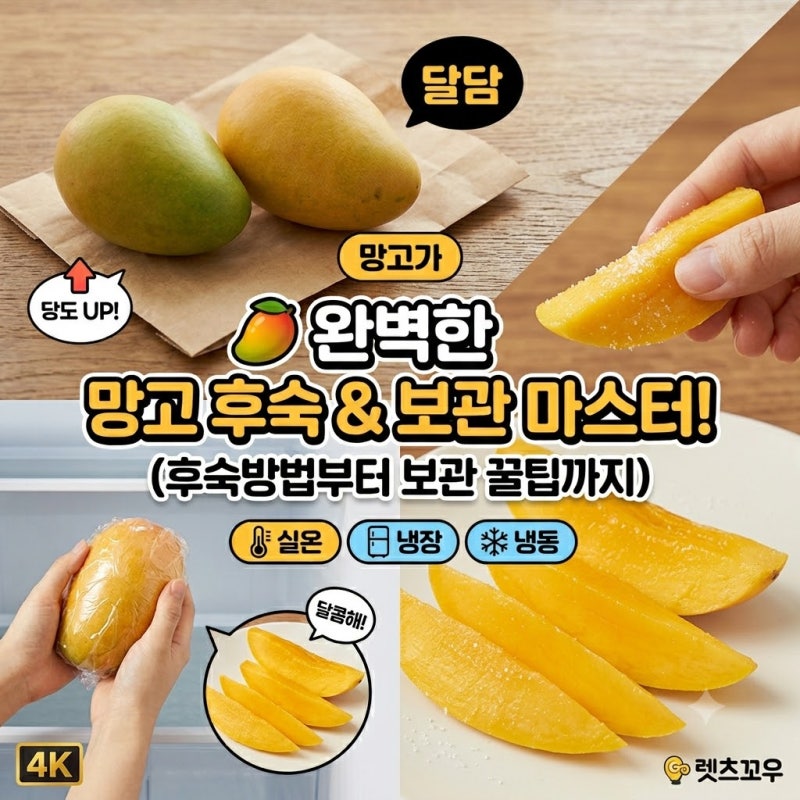 망고후숙방법 완벽정리 실온 vs 냉장 어디서 해야 맛있을까?