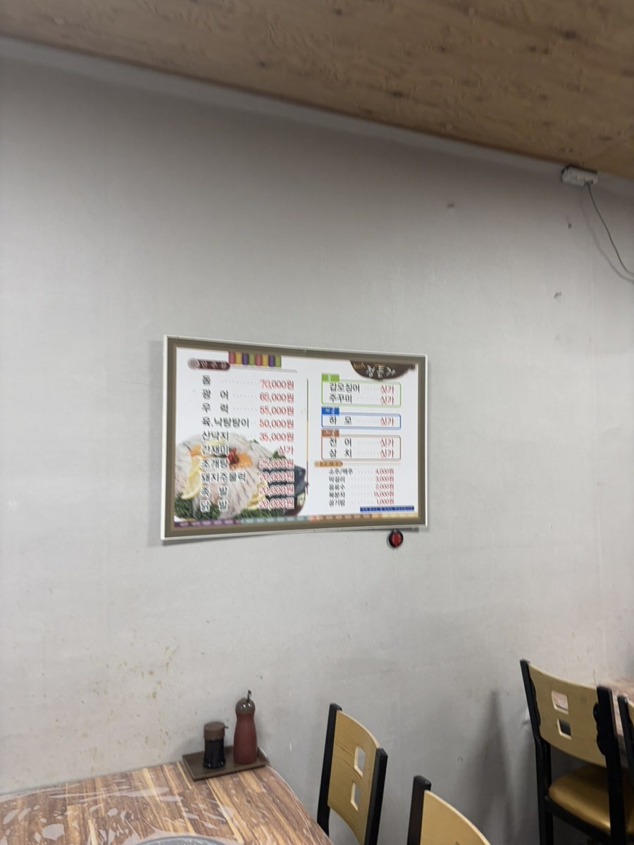 정든가 사진 4