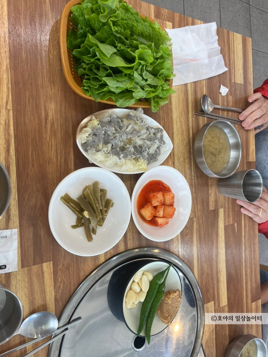 진주정 사진 4