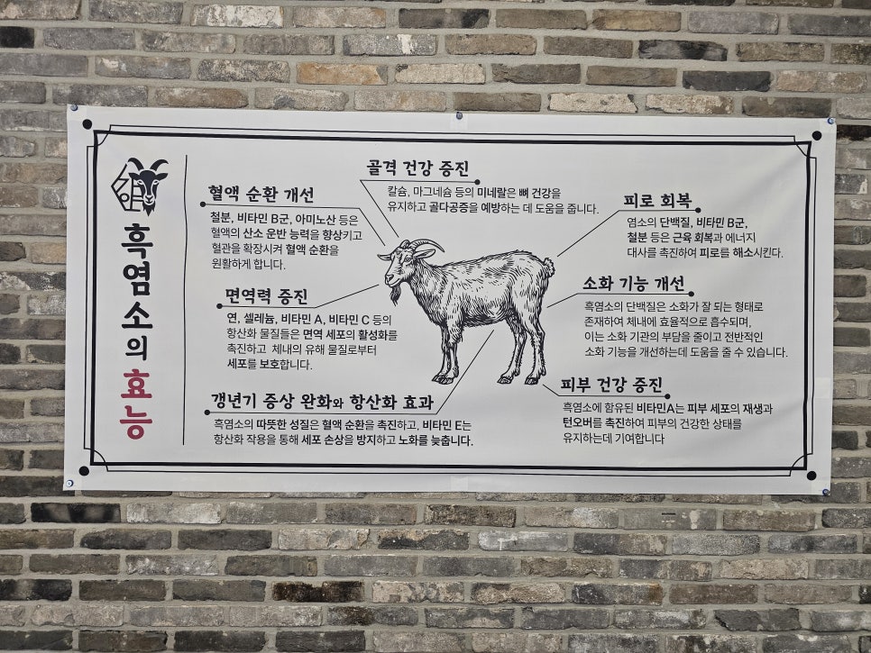 가야흑염소 사진 4
