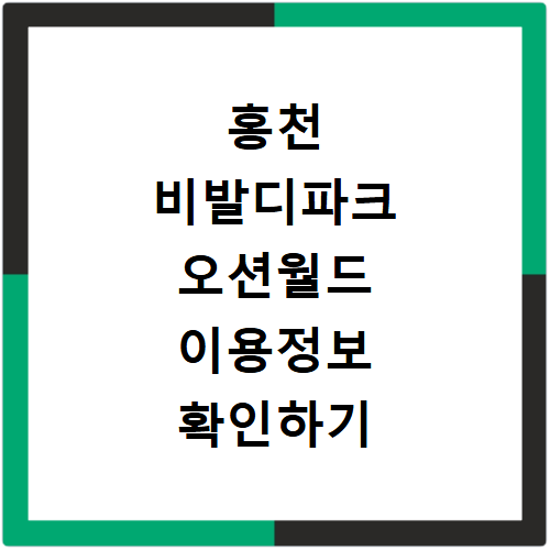 홍천 비발디파크 오션월드 운영시간 입장료 확인하기