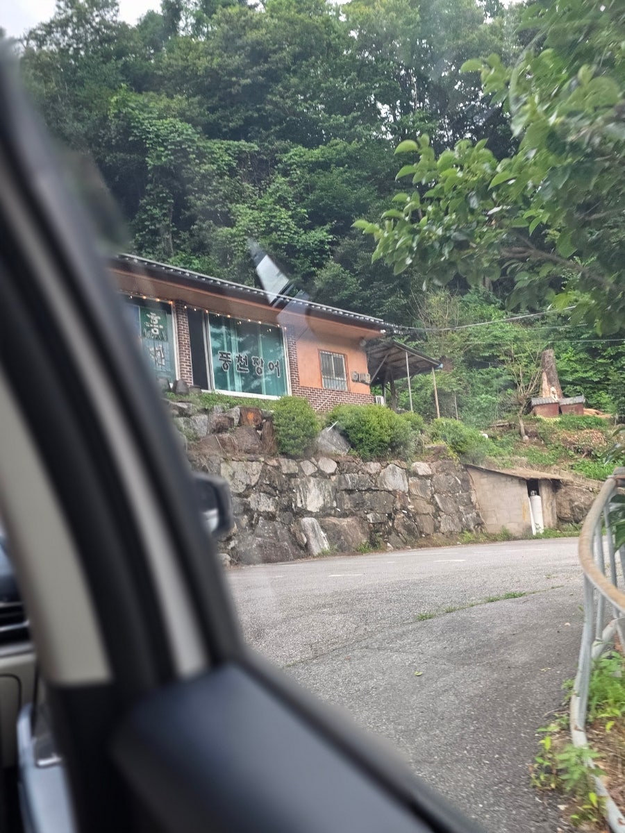 상아풍천장어 사진 6