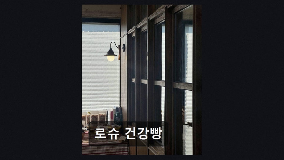로슈 사진 2