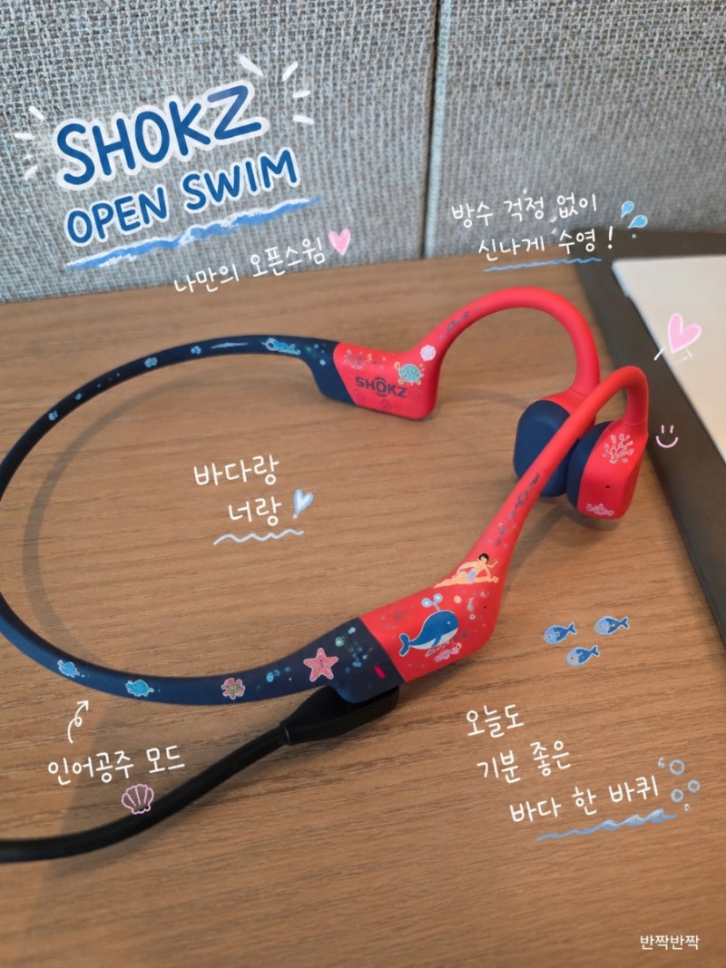 샥즈 오픈 스윔 프로 구매 후기 및 사용법