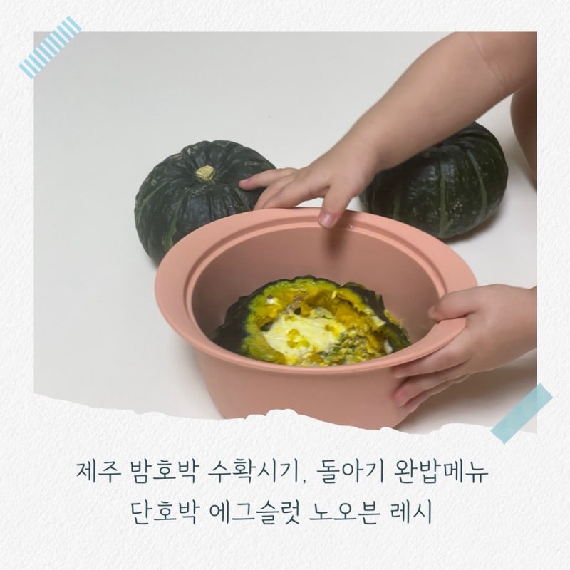 제주 밤호박 수확시기, 돌아기 완밥메뉴 단호박 에그슬럿 노오븐 레시피