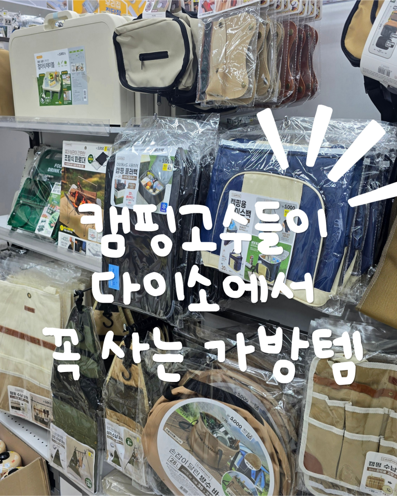 캠핑 짐 정리 끝판왕 ! 다이소 캠핑 가방 수납템 추천