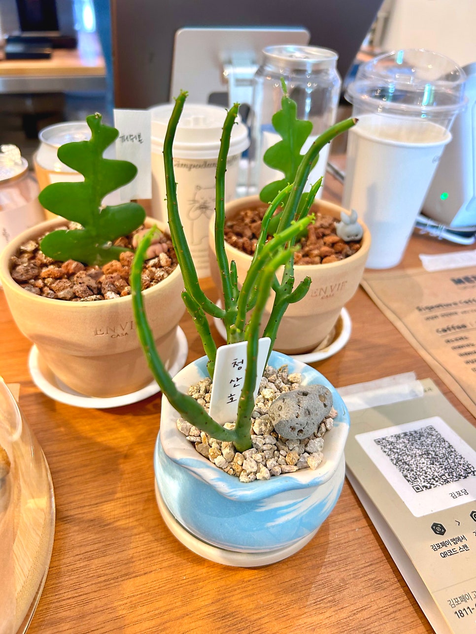 김포당 사진 4