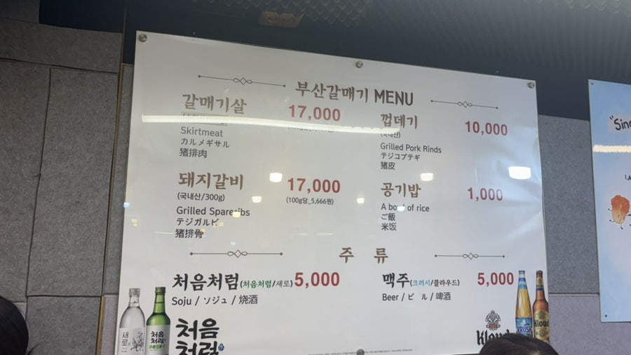 부산갈매기 사진 3