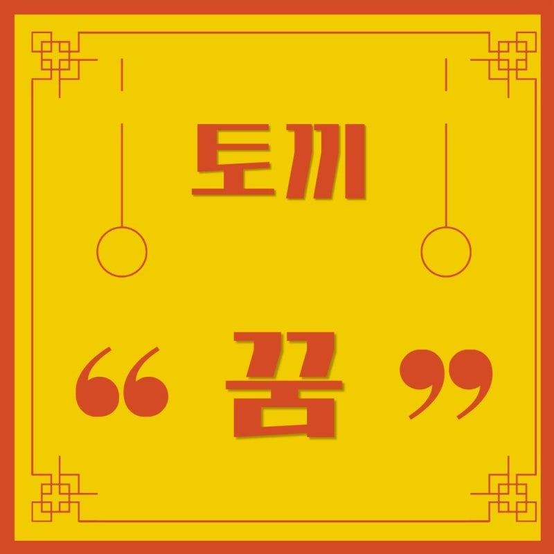 흰토끼 검은 토끼 꿈 차이 태몽 및 새끼 꿈 해몽 상황별 정리표