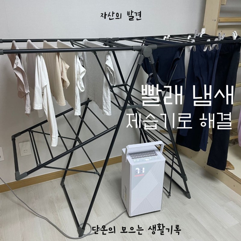 장마철 빨래 냄새 때문에 구매한 롯데알미늄 LDH-7700 제습기 후기