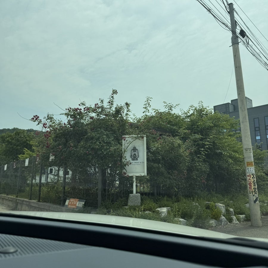 여울지숲속캠핑장 사진 1
