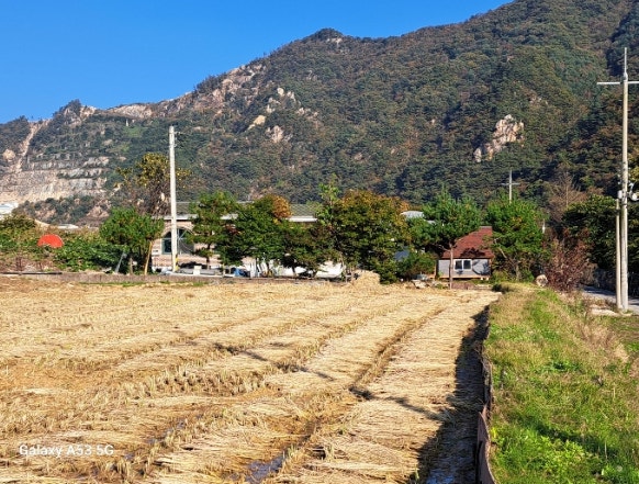 물안산 사진 5
