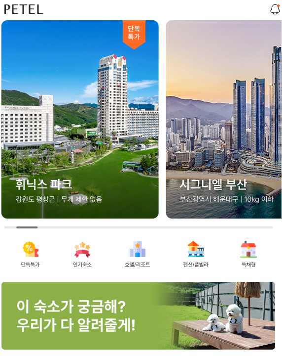 솔아페 사진 3