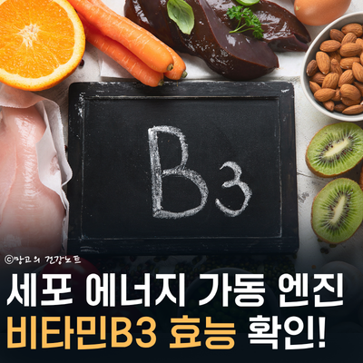 나이아신 비타민B3 효능 '이런 분들' 꼭 드세요! | 부작용 권장량 복용시간