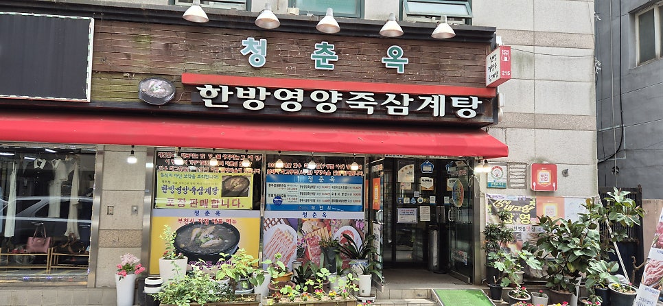 Cheongchunok photo 6