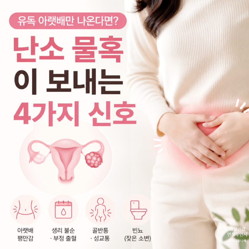 그냥 똥배인 줄 알았는데? 여자 아랫배 통증과 난소 물혹 증상 4가지