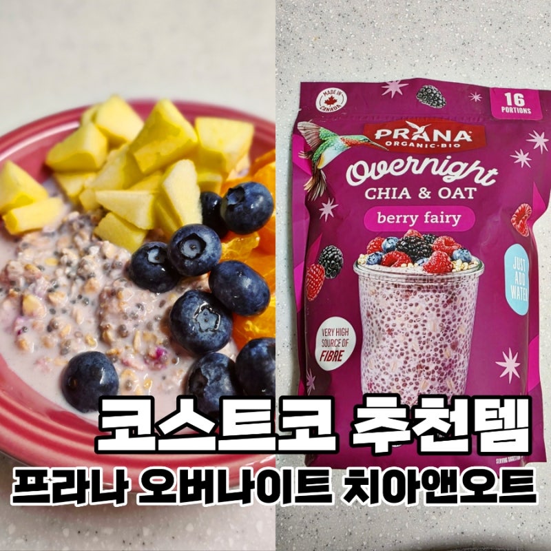 코스트코 오트밀 추천 | 프라나 오버나이트 치아앤오트 포만감 좋은 아침