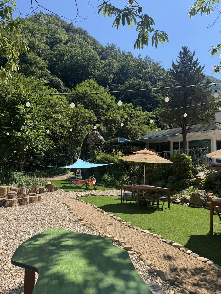 어쩌다영월 사진 4