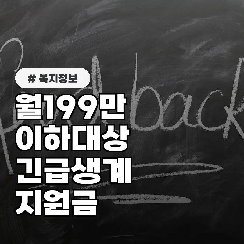 월 199만 원 소득 이하가 대상? 긴급생계지원금 2차 신청 총정리