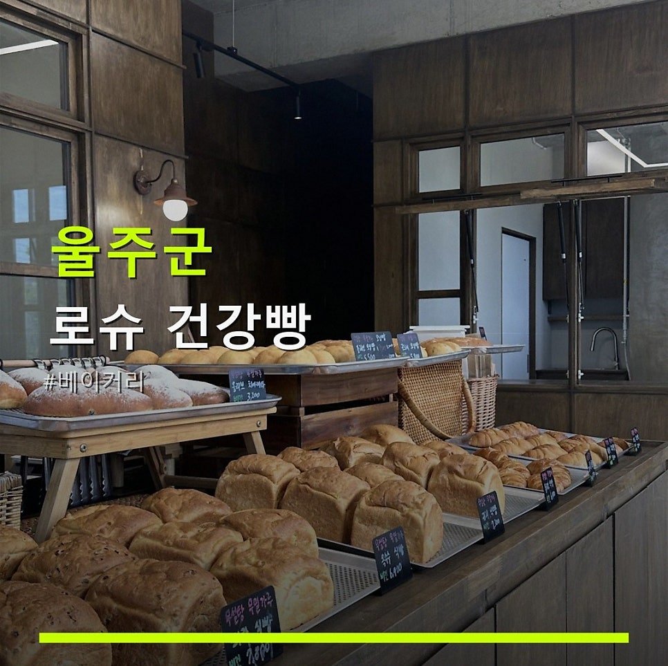 로슈 사진 1