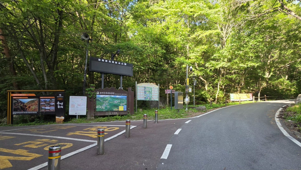 절골 사진 5