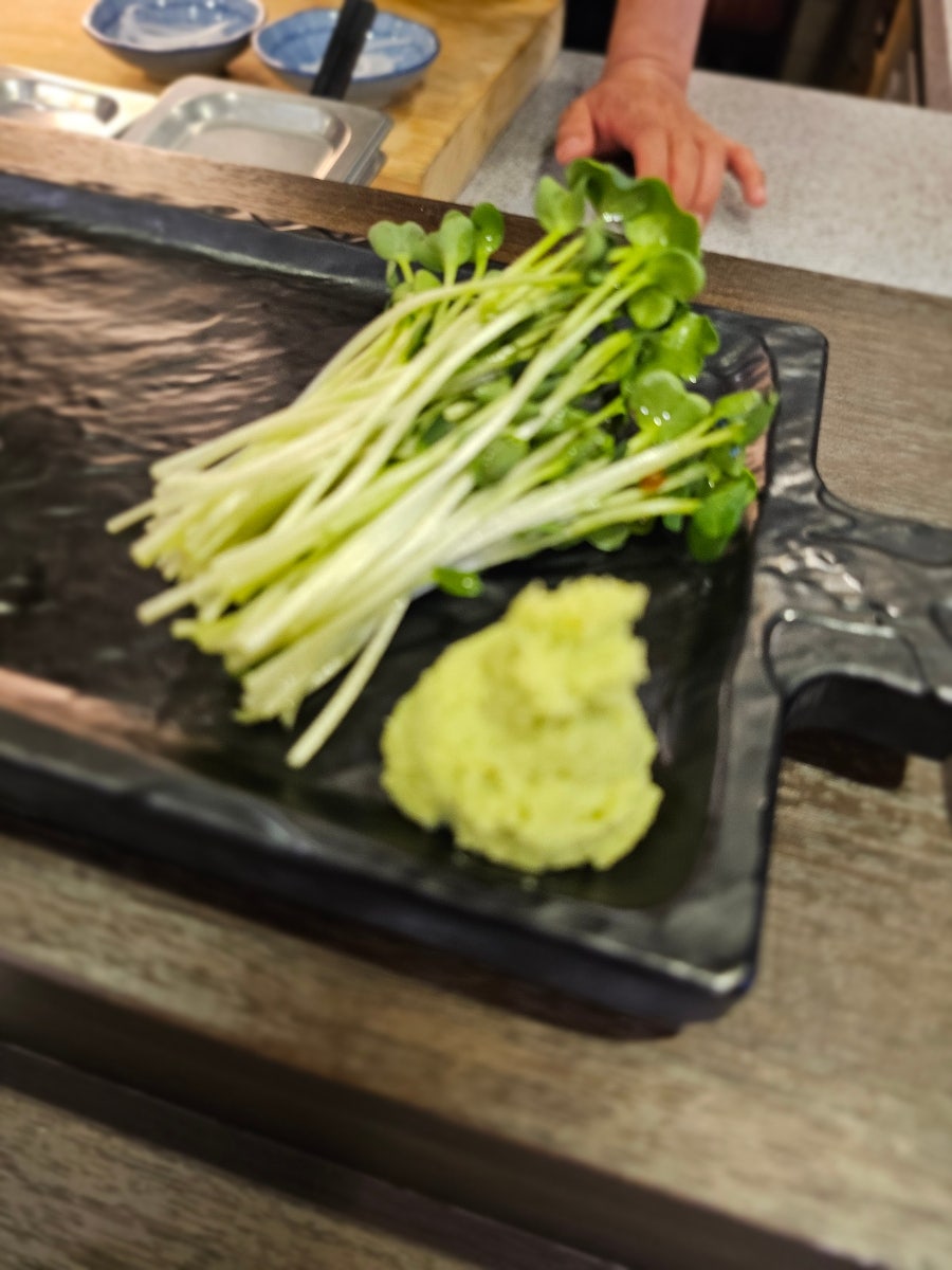 하루비 사진 4