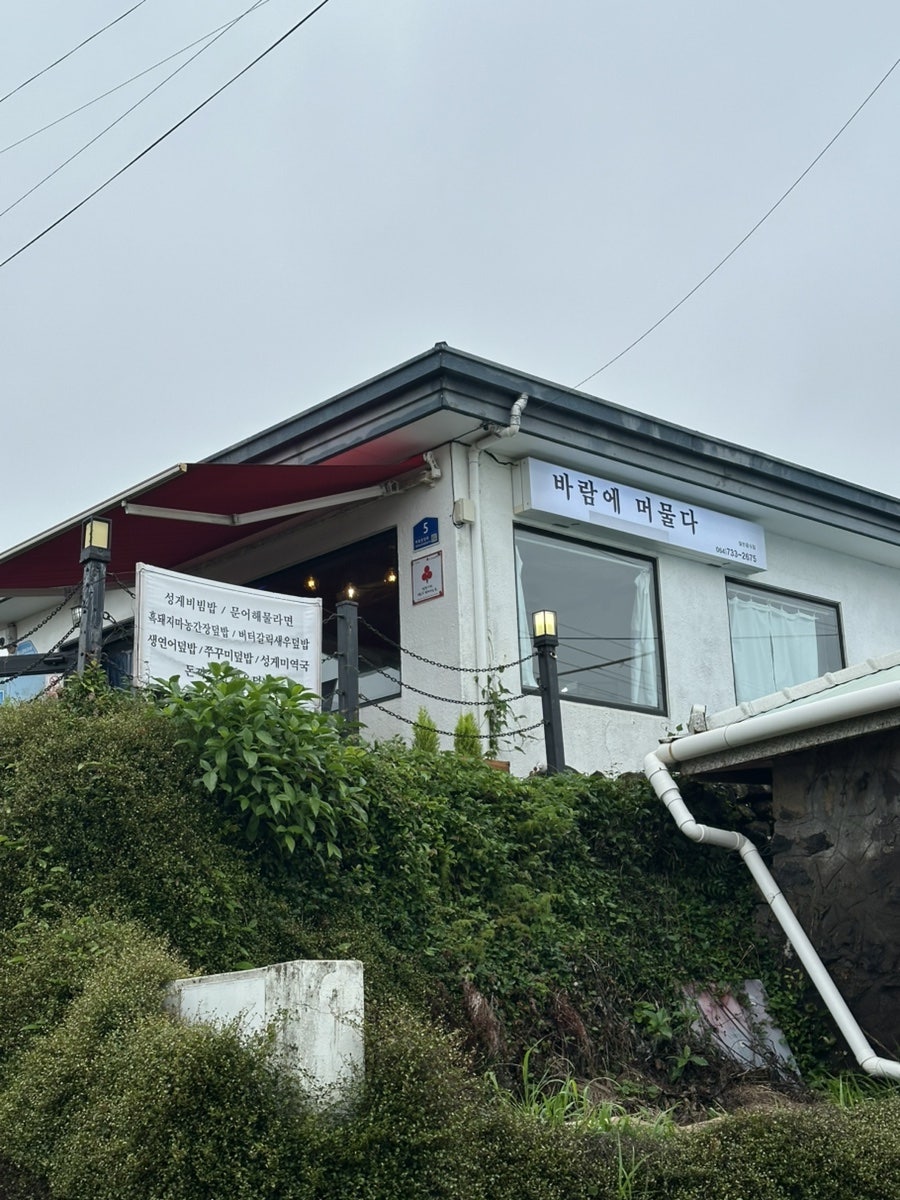 바람에머물다 사진 1