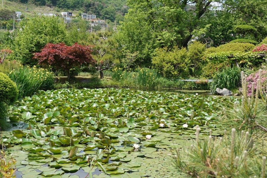 산수유산장 사진 3