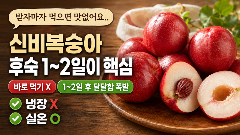 신비복숭아 후숙법, 딱 1~2일이 핵심이었어요 — 6월 제철 완벽 가이드