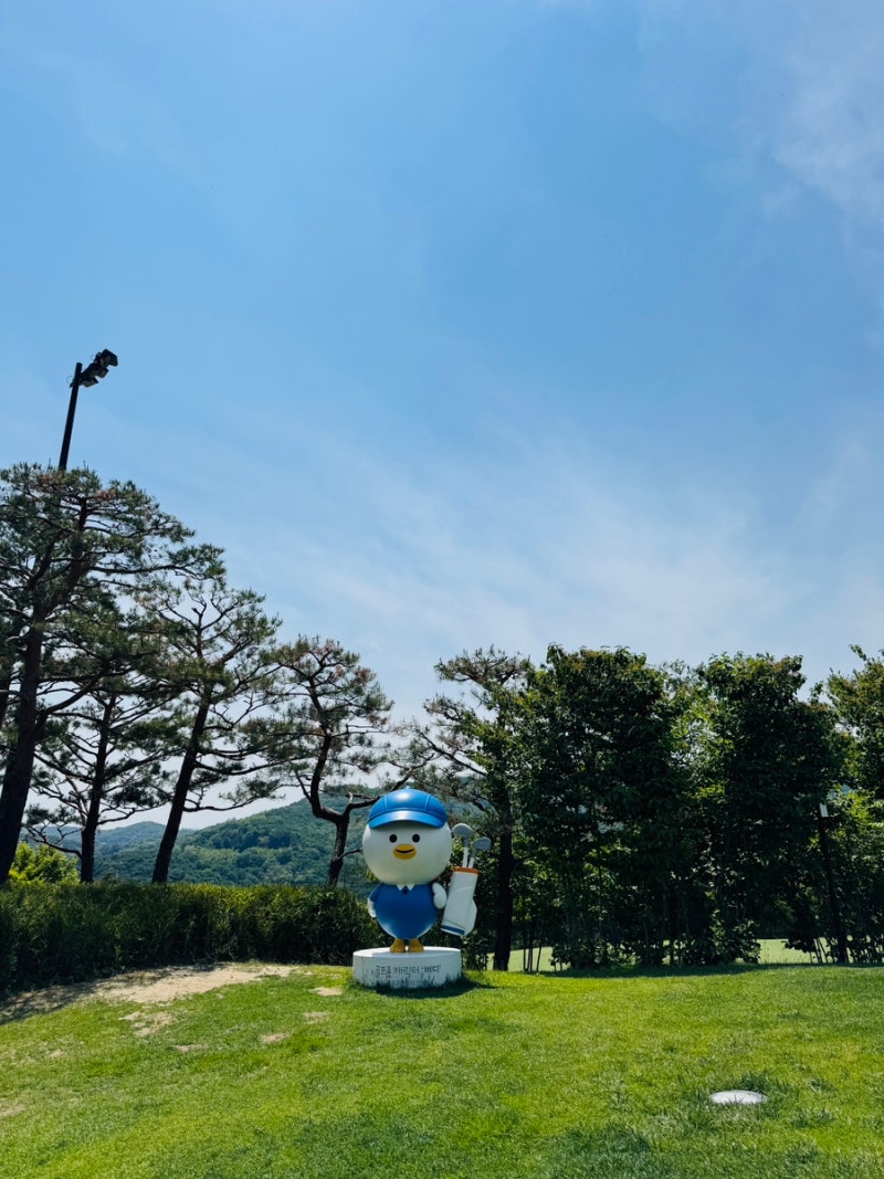 [골프] 골프존카운티안성w