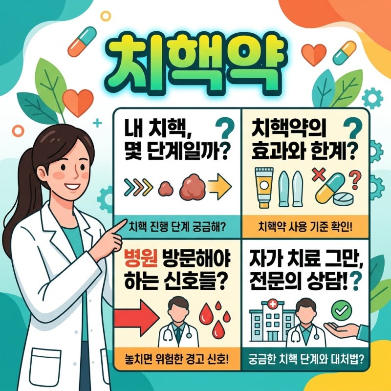 치핵약 언제까지 써도 될까? 단계별 기준과 관련 기관 확인 신호