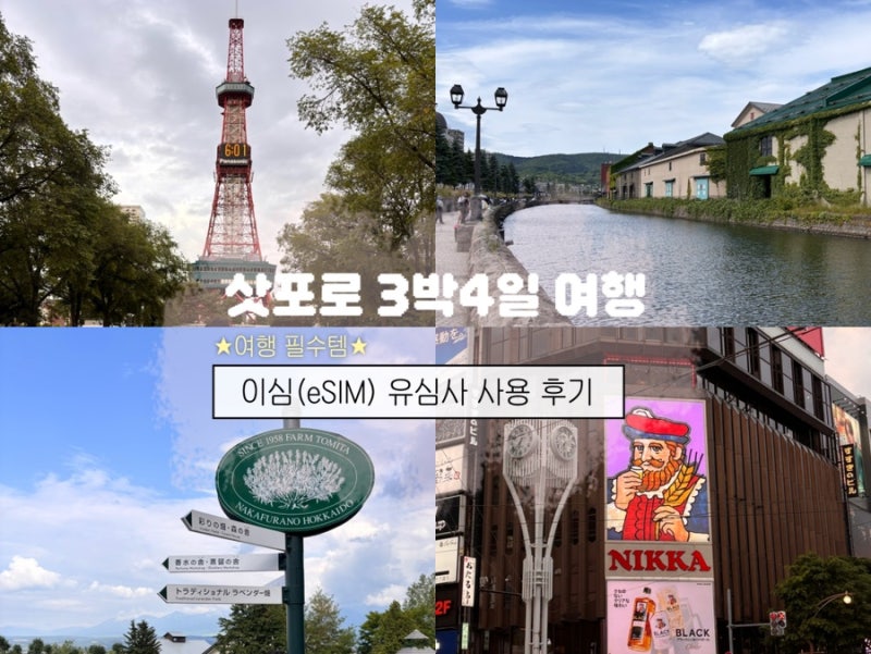 일본 삿포로 여행 준비물 | ESIM 이심 추천 3박4일 데이터 사용량 후기 - 유심사