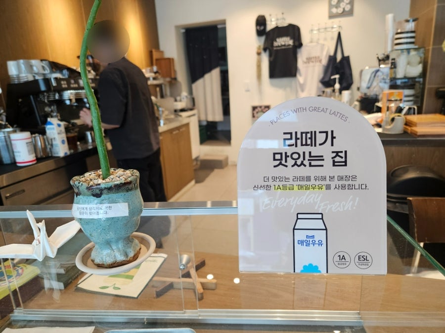 사마브루잉 사진 5