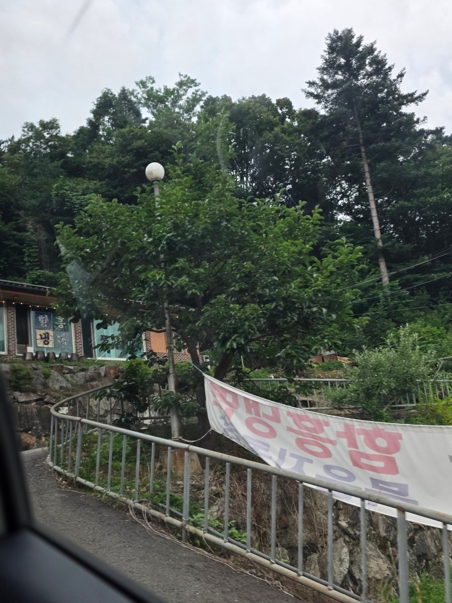 상아풍천장어 사진 5