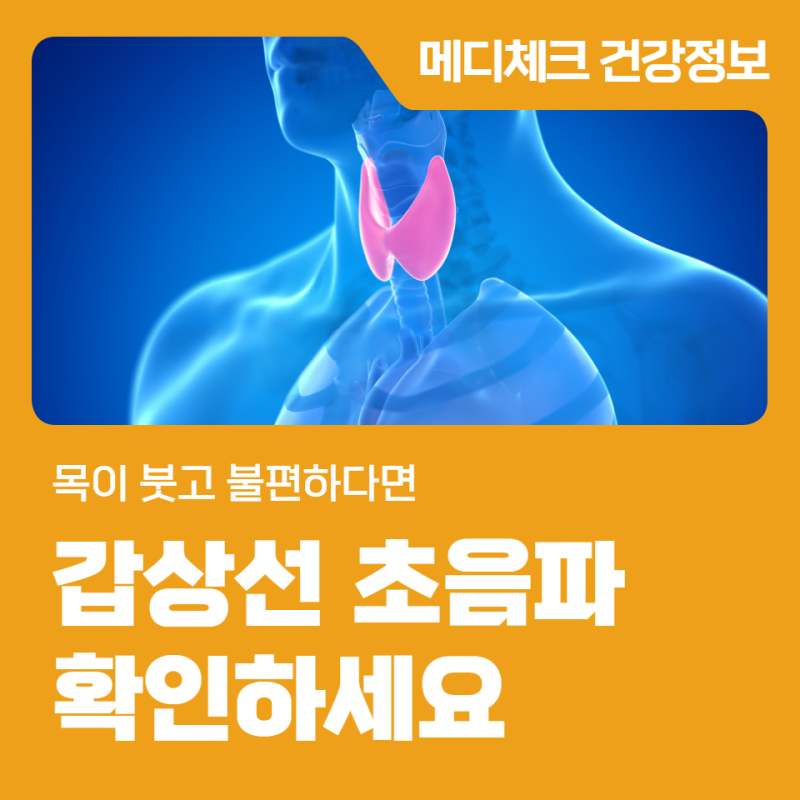 부산 갑상선 목이 붓고 불편하다면 갑상선 초음파 확인하세요