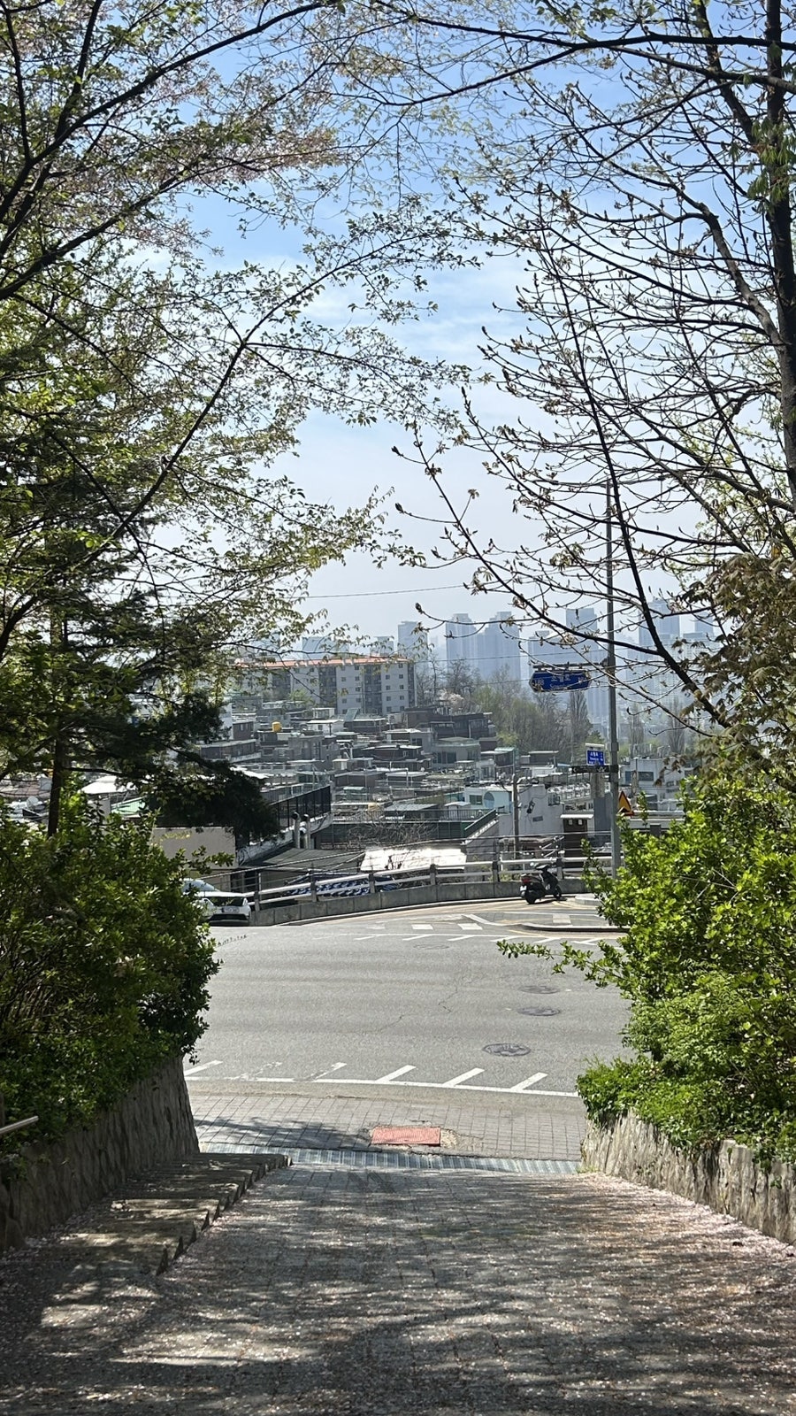 푸실 사진 3